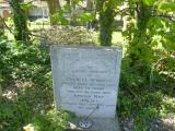 image of grave number 787437